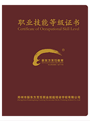国家四级--中级证书