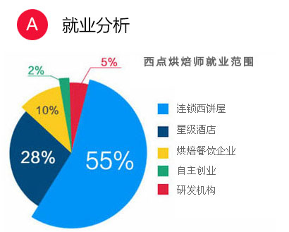 西点精英专业前景